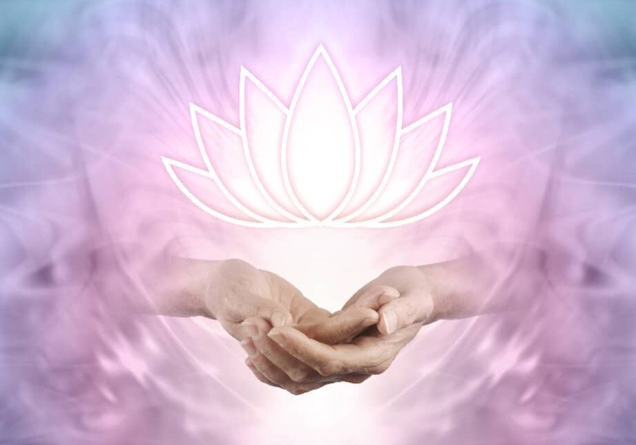 nora nobani reiki